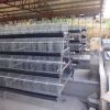 Animal battery poultry chicken layers cages for sale