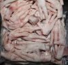 Brazilian Halal Frozen Whole Chicken, Chicken Parts premium Grade A