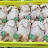 Halal Whole Frozen Chicken, Chicken Feet, Paws, Drumsticks Grade "A" 