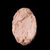 Canned tuna fish