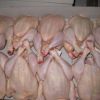 EXPORT GRADE HALAL FROZEN WHOLE CHICKEN, CHICKEN FEET, CHICKEN PAW AND ALL OTHER PARTS