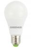 10 WATT A60 LED BULB