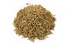 caraway