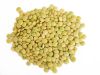 Green Large Lentils