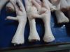 Frozen Halal Chicken Paws / Chicken Feet From Thailand For Sale In Bulk Premium Grade