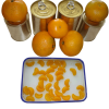 Canned Mandarin Orange...