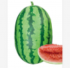 Improve No.5 big size oval shape hybrid f1 watermelon seeds