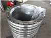 ANSI B16.5 Class 150/300/600/900 Forged Carbon/Stainless Steel Flanges