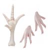 Brazilian Frozen Chicken Paws, Frozen Chicken Feet Suppliers