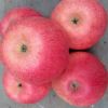 2021 New Fresh Fruits Red Fuji Apples For Sell At Cheap Price