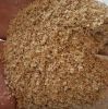 Best quality wheat bran for animal feed