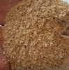 Wheat bran used as ani...