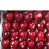 2017 New Fresh Gala Apple best price and quality