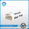 Mouse Glue Trap Rat Glue Board Manufacturer