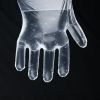 Disposable Transparent HDPE PE Plastic kitchen Gloves