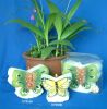 candle CT108AB