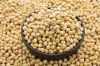 fresh organic soya beans