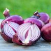 Grown Fresh Red Onions  Fresh MOQ 25 LBS Quick Delivery