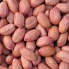 High Quality Peanuts Supplier