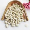 High quality new crop small black kidney beans dry black turtle beans 