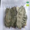 Soursop leaves/ Graviola leaves to process tea from Vietnam // Ms. Serene