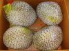 FROZEN DURIAN/WHOLE DURIAN WITH SEED OR SEEDLESS/SEGMENT DURIAN // Ms. Helen +84 848903006