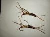Fishing flies