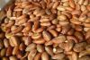 Oloyin beans, ijebu ga...
