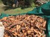 Dried Cinnamon Bark