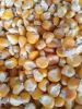Yellow Corn
