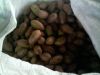 Pecans/Sumner