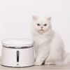 Homerun Custom Automatic LED Bubbling Pet Drinking Eco Cat Water Fountain &amp; Dispenser CE FCC