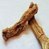 Acorus Calamus Root