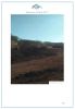 Mexico Iron Ore Fe62% ...