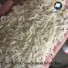 PK-386 Non-Basmati Whi...