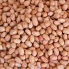Melon Seed, millets, Groundnuts