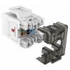 CAT6 UTP 110 Type RJ45 Keystone Jack