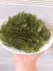 DEHYDRATED SEA GRAPES/...