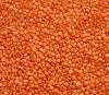 Red Lentils