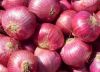 Fresh Red Onion