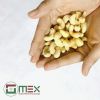 Premium Quality Vietnam Cashew Nuts/ Cashew Kernels/ WW320