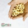 Wholesale Cashew Nuts | Cashew Kernels | W240, 320, 450