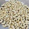 Wholesale Cashew Nuts/ Cashew Kernels/ W250,320,450