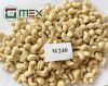 Dried Cashew Nuts | High Quality | WW240