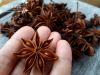 Star Anise