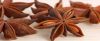 Star Anise