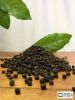 Black Pepper in Vietnam