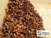 Star Anise- High quality in Vietnam