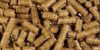cattle feed