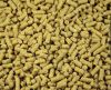 cattle feed